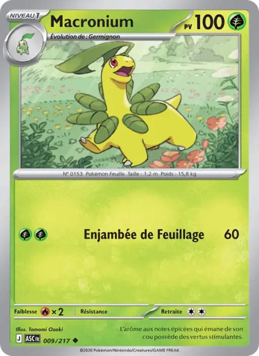 Carte Pokémon Macronium 009/295 Peu Commune Héros Transcendants