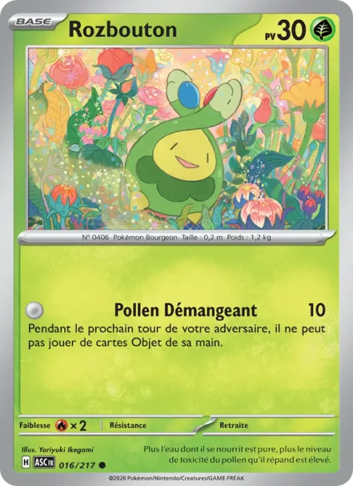 Carte Pokémon Rozbouton 016/295 Commune Héros Transcendants