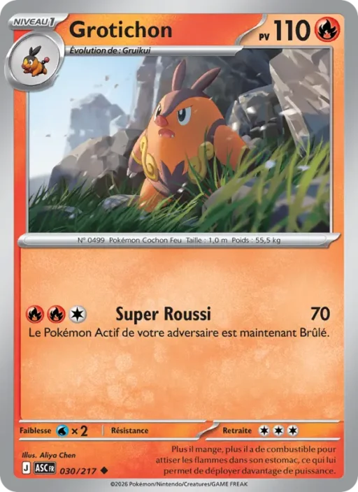 Carte Pokémon Grotichon 030/295 Peu Commune Héros Transcendants