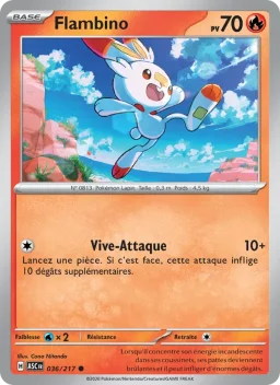 Carte Pokemon Flambino #036