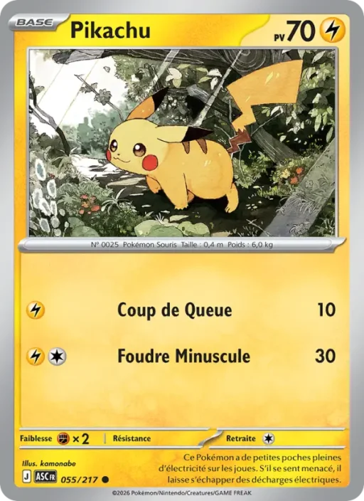 Carte Pokémon Pikachu 055/295 Commune Héros Transcendants