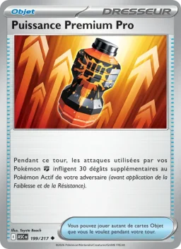 Carte Pokemon Puissance Premium Pro #199