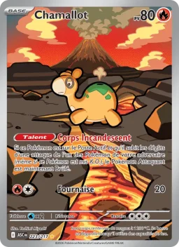 Carte Pokemon Chamallot #223