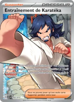 Carte Pokemon Entraînement de Karatéka #255