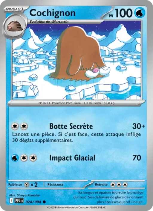Carte Pokémon Cochignon 024/094 Commune Flammes Fantasmagoriques
