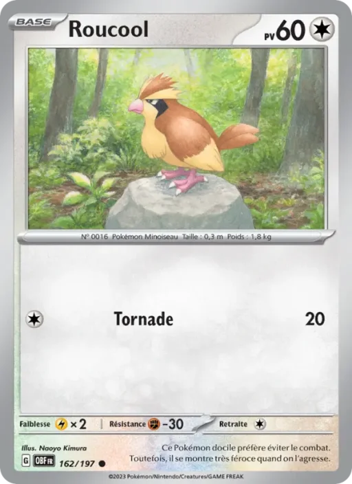 Carte Pokémon Roucool 162/197 Commune Flammes Obsidiennes