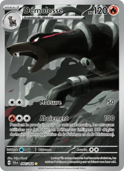 Démolosse