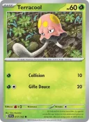 Terracool