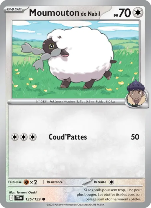 Carte Pokémon Moumouton de Nabil 135/159 Commune Aventures Ensemble