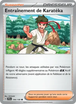 Entraînement de Karatéka