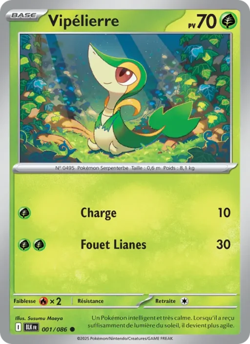Carte Pokémon Vipélierre 001/086 Commune Foudre Noire