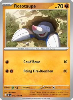Carte Pokemon Rototaupe #045
