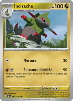 Carte Pokemon Incisache #069