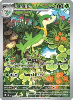 Carte Pokemon Lianaja #088