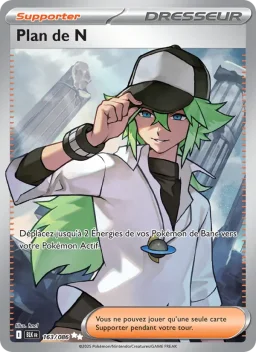 Carte Pokemon Plan de N #163