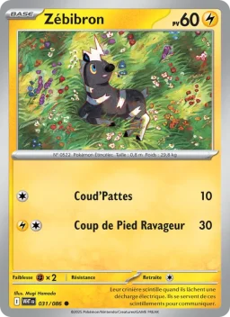 Carte Pokemon Zébibron #031