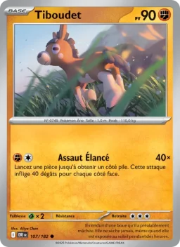 Carte Pokemon Tiboudet #107
