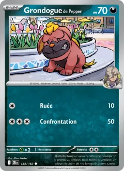 Carte Pokemon Grondogue de Pepper #138