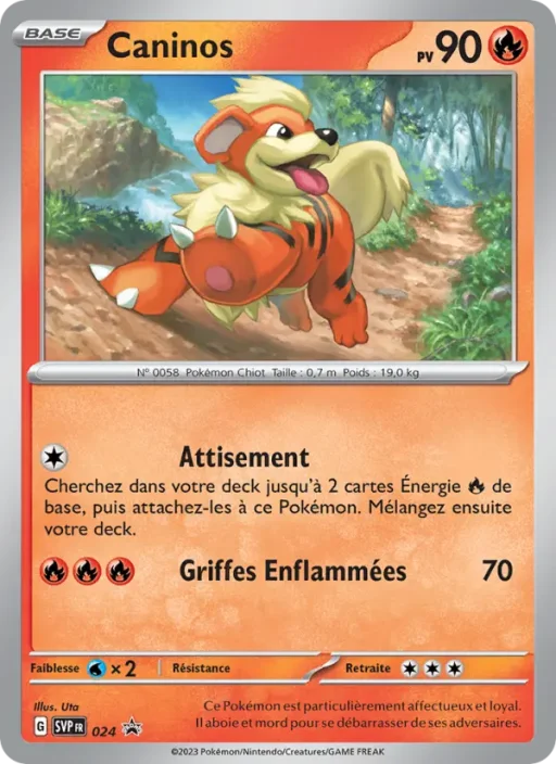 Carte Pokémon Caninos 024 Sans Rareté SVP Black Star Promos