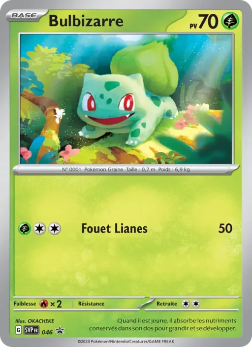 Carte Pokémon Bulbizarre 046 Sans Rareté SVP Black Star Promos