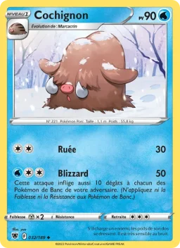 Carte Pokemon Cochignon #032