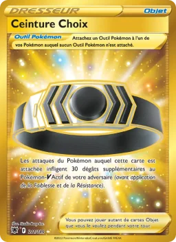 Carte Pokemon Ceinture Choix #211