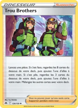 Carte Pokemon Trou Brothers #126