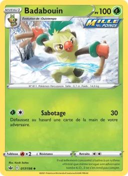 Carte Pokemon Badabouin #17