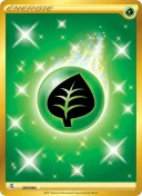 Énergie Plante