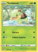Tortipouss