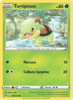 Carte Pokemon Tortipouss #006