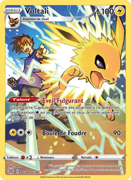 Carte Pokémon Voltali TG04/TG30 Rare Stars Étincelantes